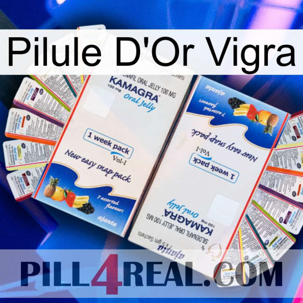 Vigra Gold Pill kamagra1